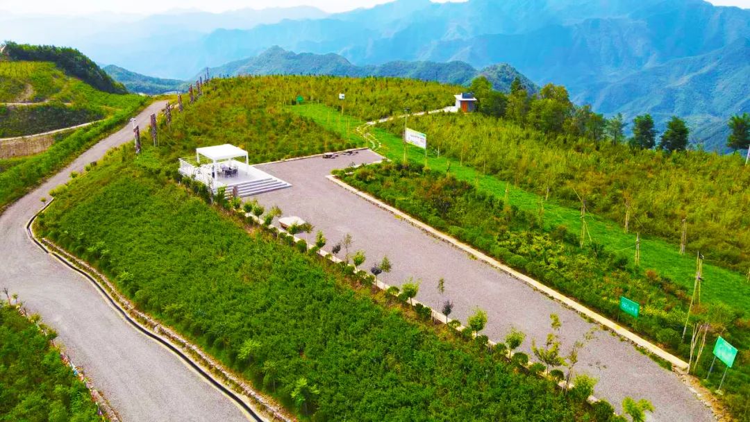 �����ϵV�I(y��)��˾���h���I���^鮺V�� ���۰l(f��)չ�����ܡ�