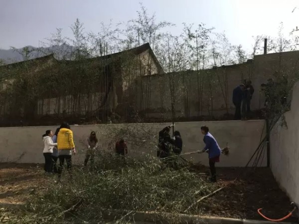 大西溝開展春季植樹綠化活動(dòng)