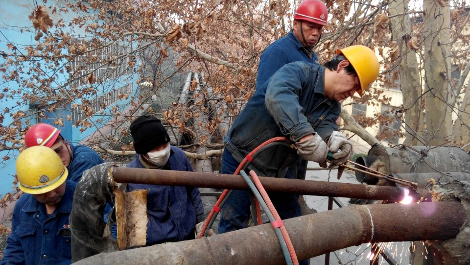 情在高處 情在高處