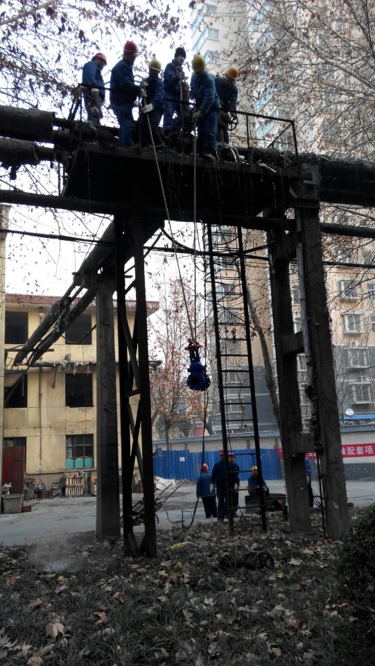 情在高處 情在高處