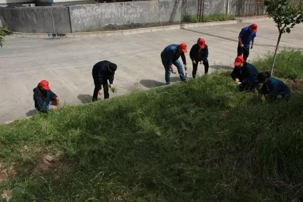 大西溝礦業(yè)公司、寶軋公司團委開展“五四”系列活動