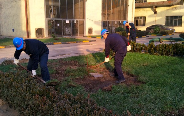 華富新能源公司持續(xù)綠化廠區(qū)環(huán)境 華富新能源公司持續(xù)綠化廠區(qū)環(huán)境