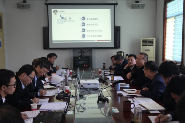 龍鋼集團(tuán)召開2019年投資計(jì)劃評(píng)審會(huì)