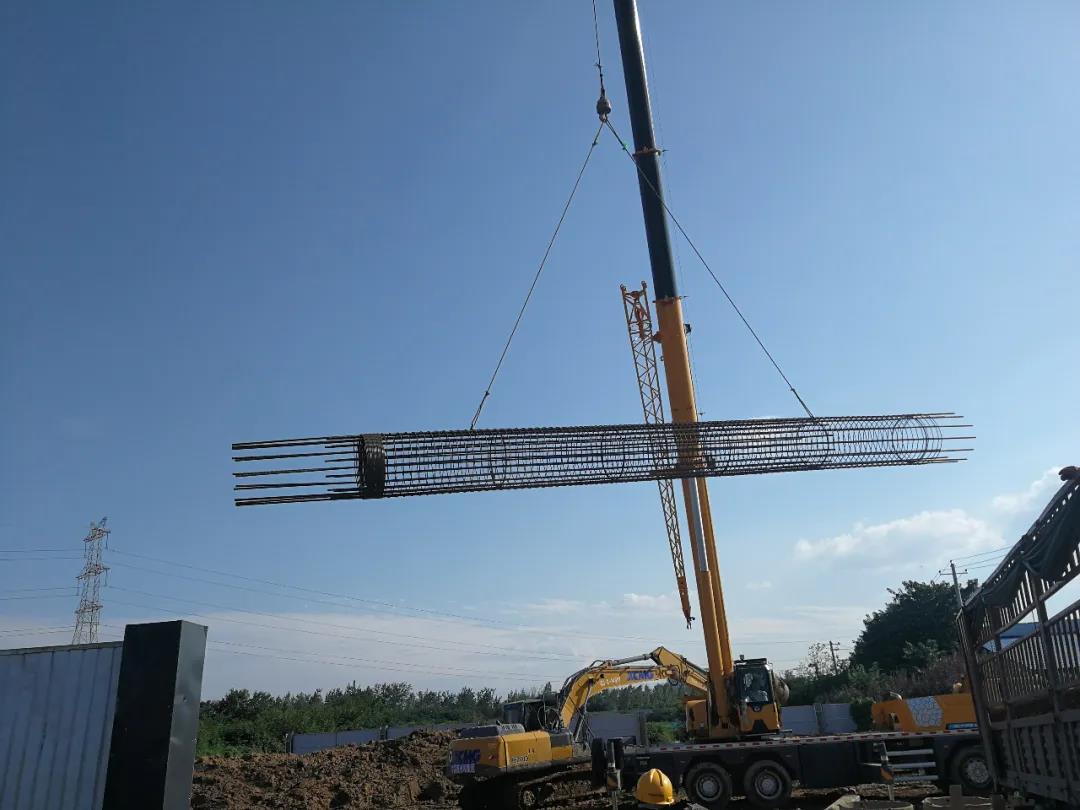 龍鋼集團，“春耕”爭時美成畫